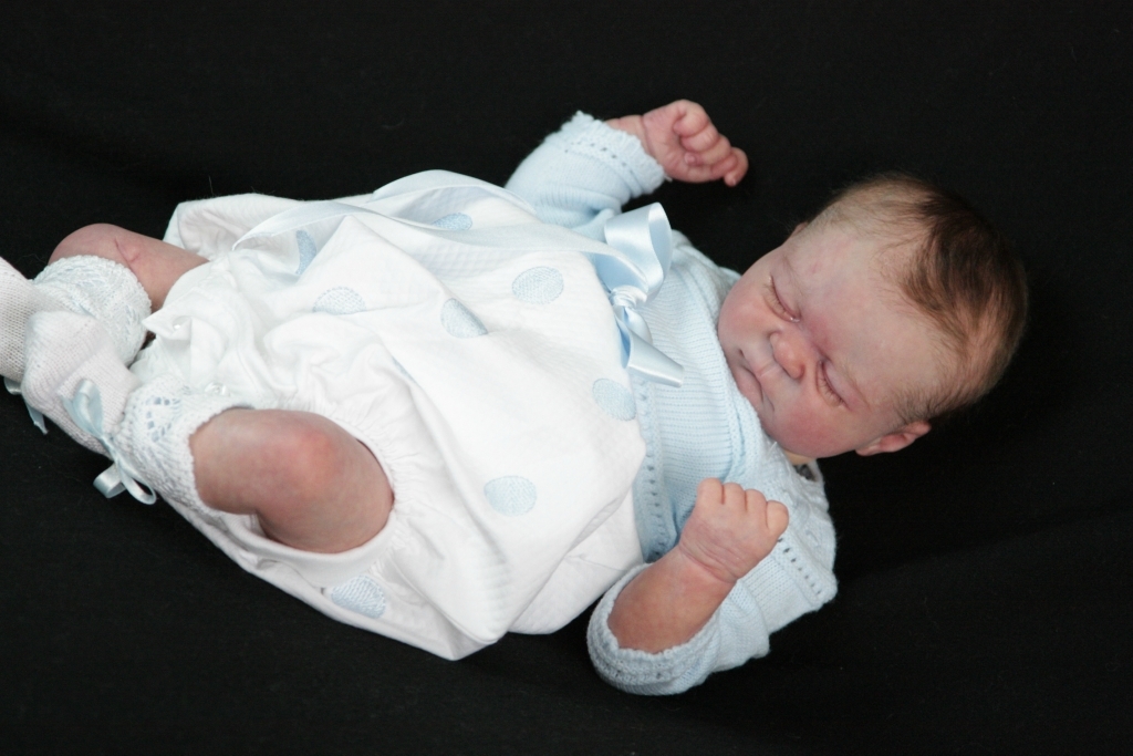 bean reborn kit