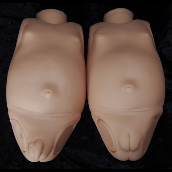 Full torso reborn kits online