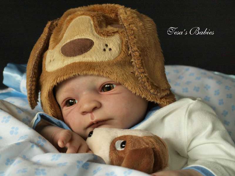 Nils by Gudrun Legler