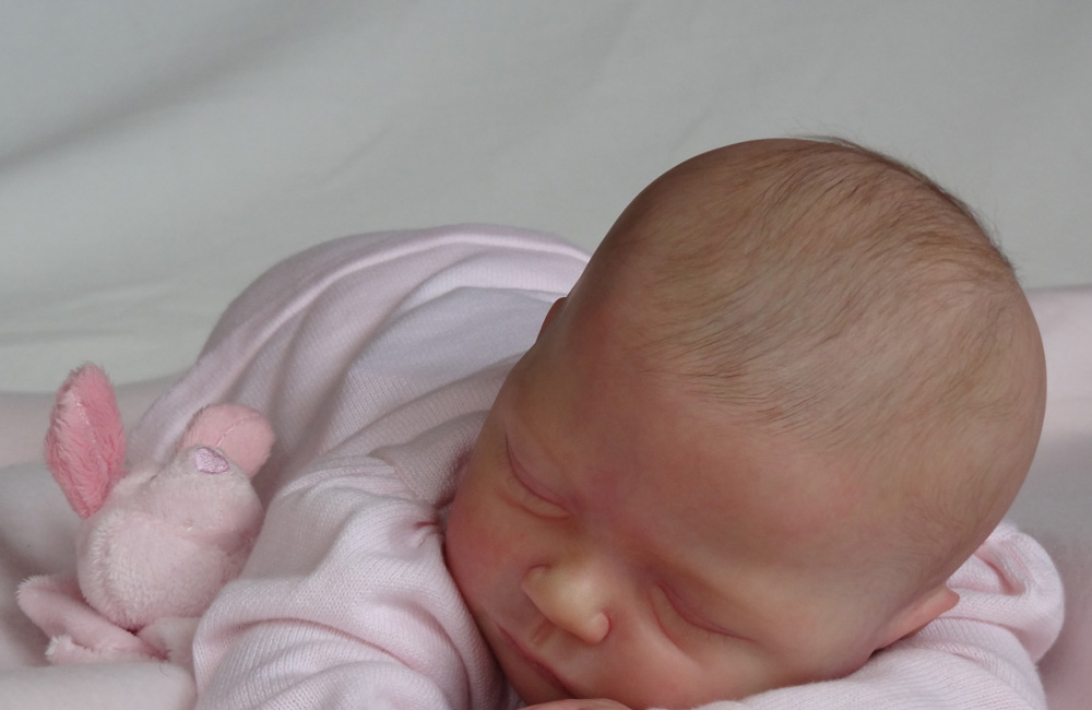 donna lee reborn dolls