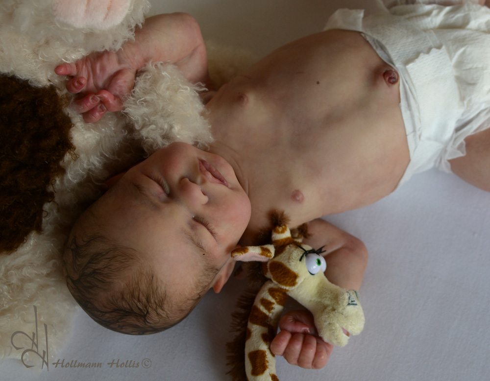 quinlynn reborn kit