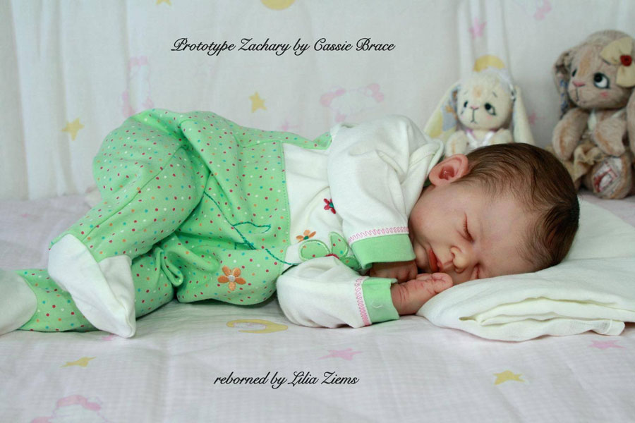 Zachary by Cassie Brace