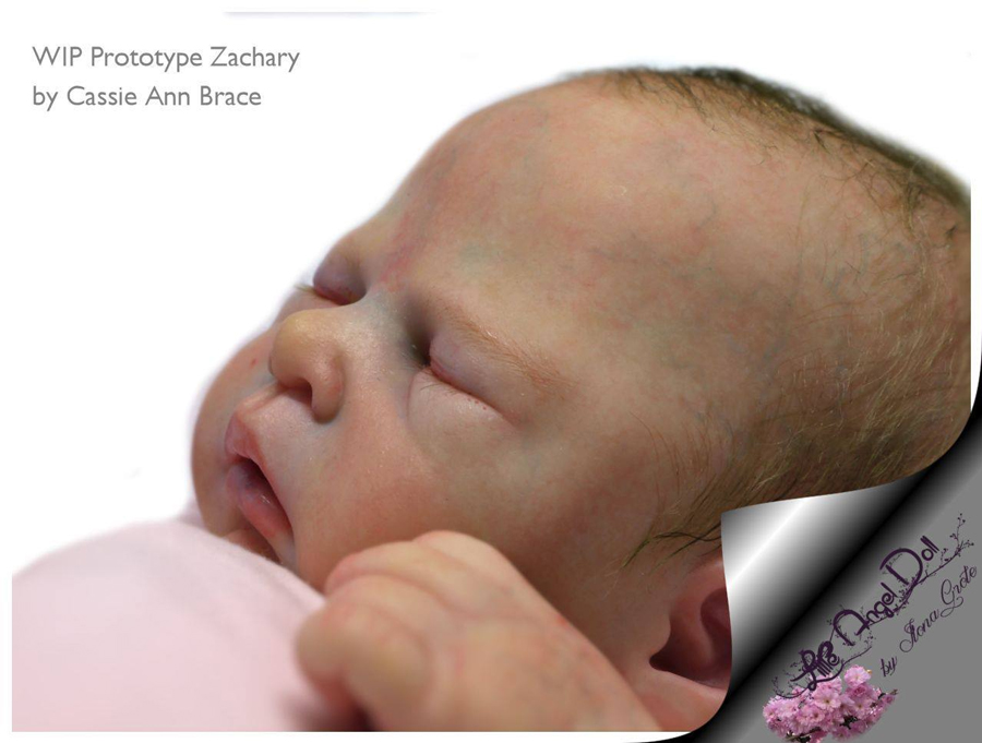 Zachary by Cassie Brace